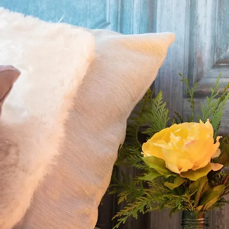 Luxury Singular Atico Boutique Con Terraza Santiago de Compostela