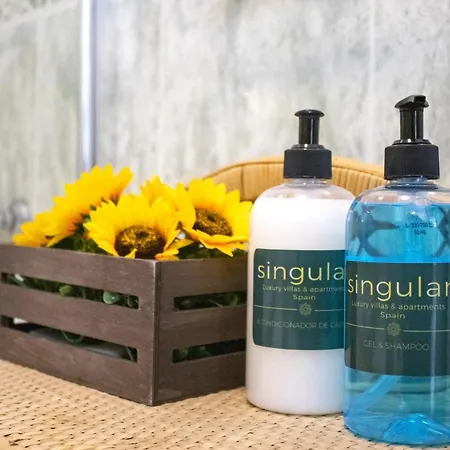 Lejlighed Luxury Singular Atico Boutique Con Terraza Santiago de Compostela